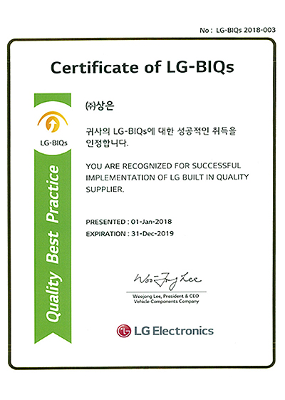 LG Electronics BIQS